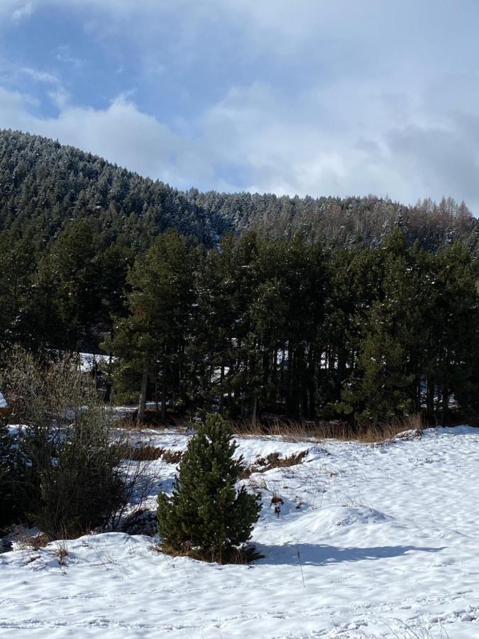 Chalet Au Pieds Des Pistes Le Cambre Aze Bolquere Pyrenees 2000 Eksteriør billede